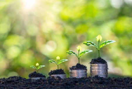 How To Find A Profitable Micro Niche For Digital Business