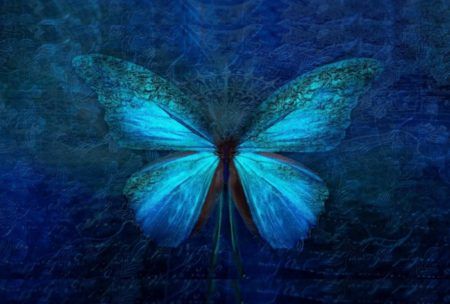 Orion’s Light And Pleiadian Reiki – Master Level