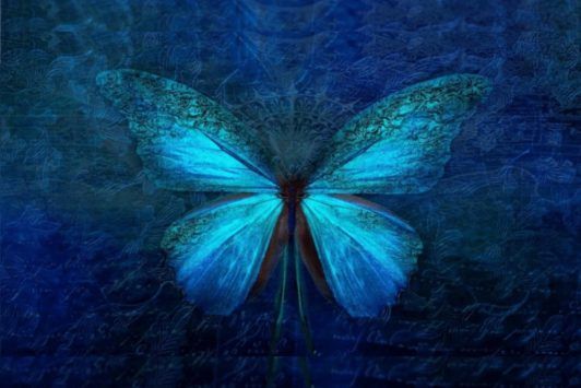 Orion's Light And Pleiadian Reiki - Master Level
