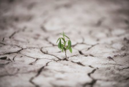 How To Bounce Back From Failure: 5 Resilience Hacks For 2022 And Beyond