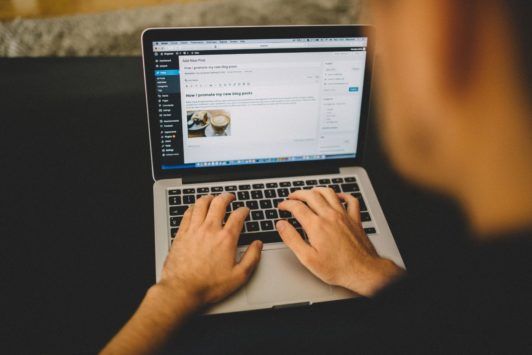 Wordpress And Elementor For Beginners