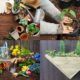 Simple Hacks To Make Gardening Easier Plus DIY Wall Planter