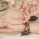 Attract Abundance Now Using Powerful EFT Techniques