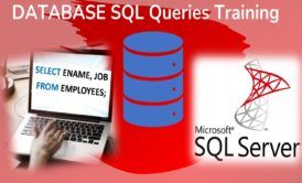Learn The Fundamentals Of MySQL Database Development