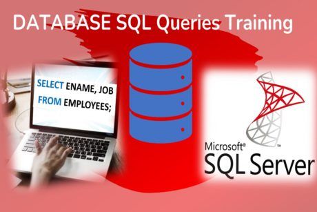 Hands On Data Analysis Using SQL And Tableau