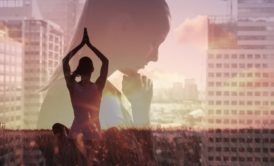 The Ultimate Stress And Mindfulness Course