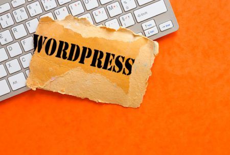 WordPress For Beginners