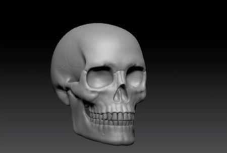 Digital Sculpting For Beginners