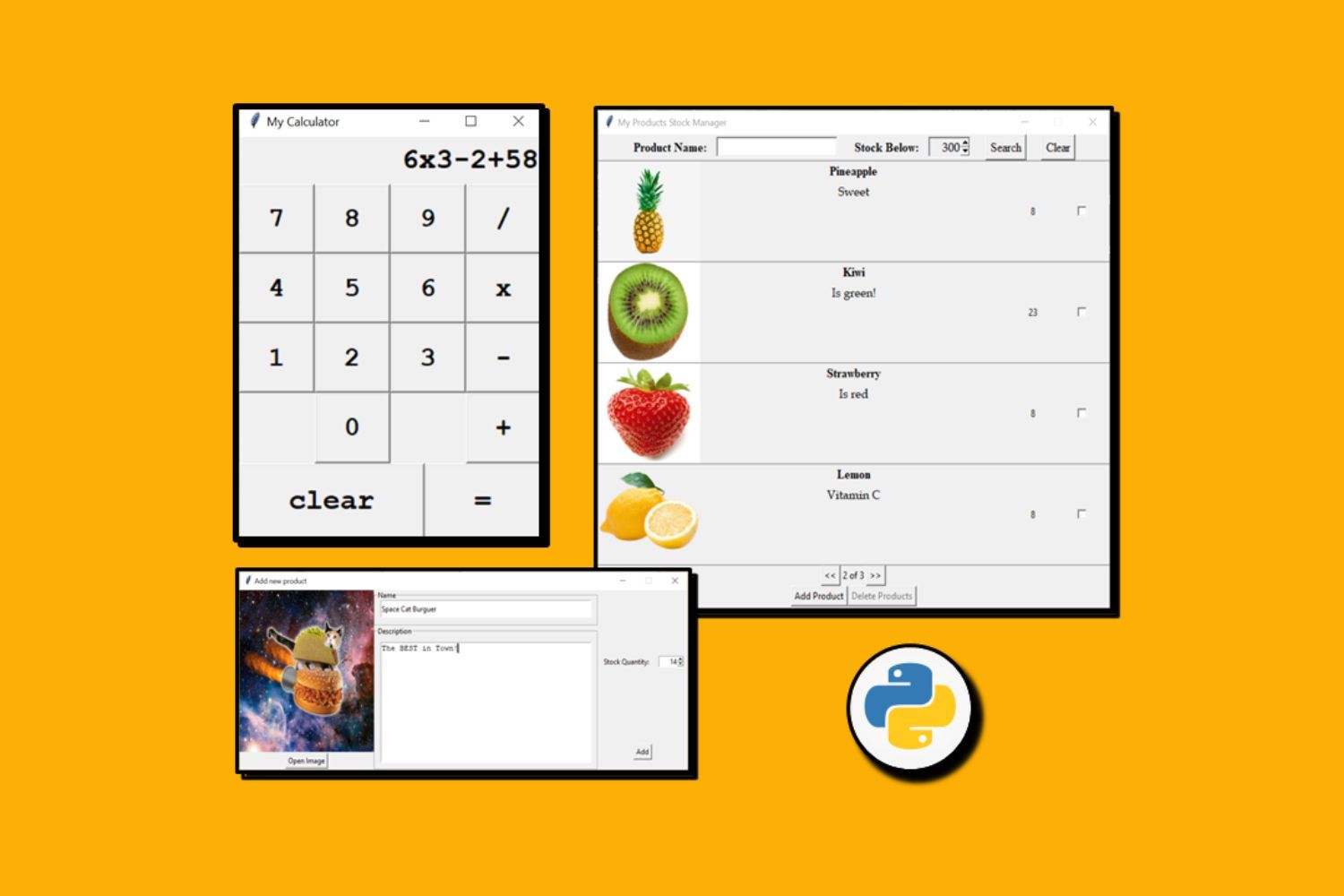 Python TkInter From Beginner To Winner | Skill Success