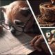 Master QuickBooks: Simplify Accounting For Small Businesses