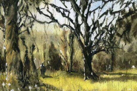 A Walk In The Forest – Watercolor Landscapes