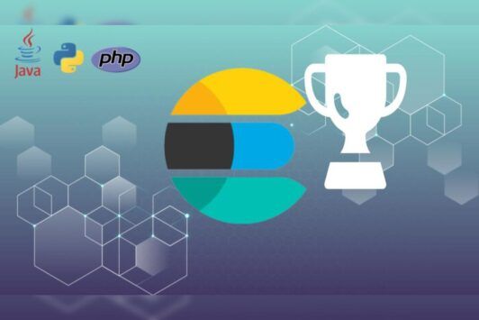 ElasticSearch As You Have Never Known It Before