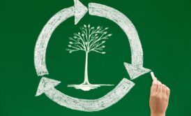 depicting a life cycle assessment course, an image shows a hand drawing a tree on a green chalkboard