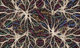 Master Psychoanalytical Theory Of Personality