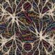 Master Psychoanalytical Theory Of Personality