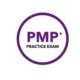 pmp practice exam logo, symbolizing preparation for the project management professional certification